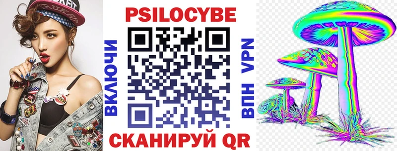Псилоцибиновые грибы Psilocybine cubensis  Купить где  Буйнакск 