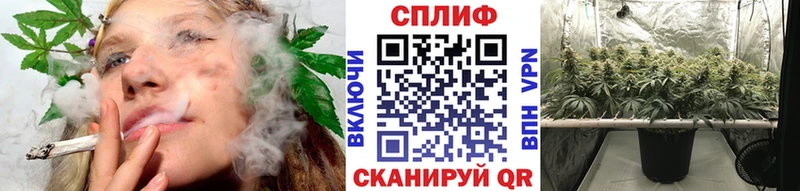 Купить  Буйнакск  Каннабис индика 